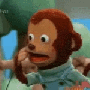 surprised-monkey.gif